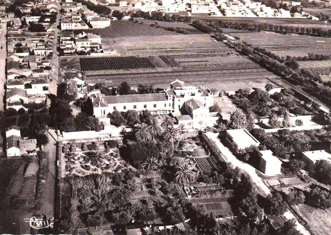 SIDI BEL ABBES ECOLE SONIS (1).jpg